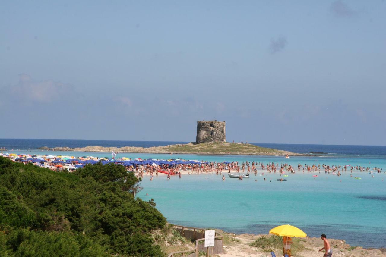 Stintino Country Paradise - Resort & Villas Dış mekan fotoğraf